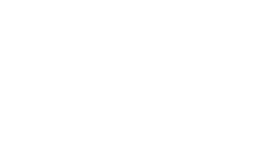 Vincitore